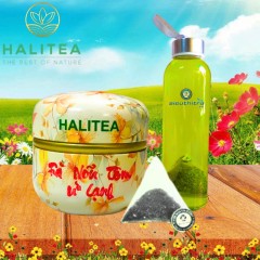 Trà Nõn Tôm Ủ Lạnh HALITEA Túi Tam Giác Hộp Thiếc 50g/ hộp/ 10...